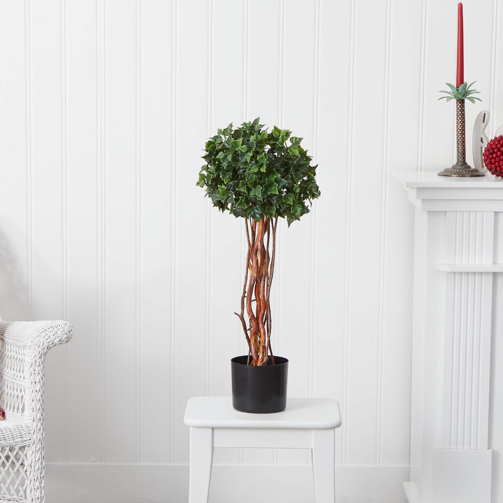 2.5ft. Potted English Ivy Topiary